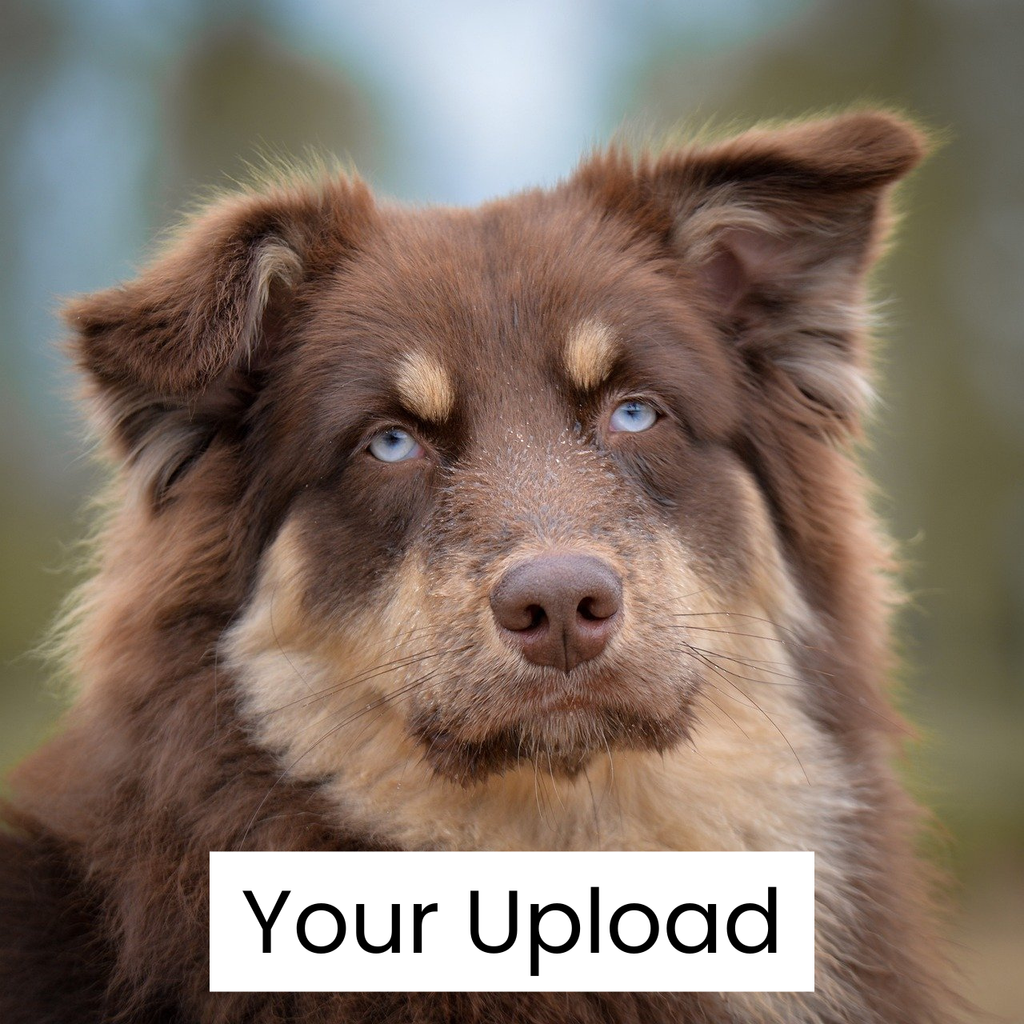 Custom Pet Portrait Hoodie – "Forever Love" Edition